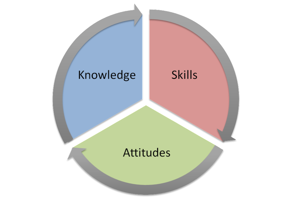 Theory and practice: skills and knowledge of youth work - Ultimate ...