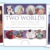 Two Worlds