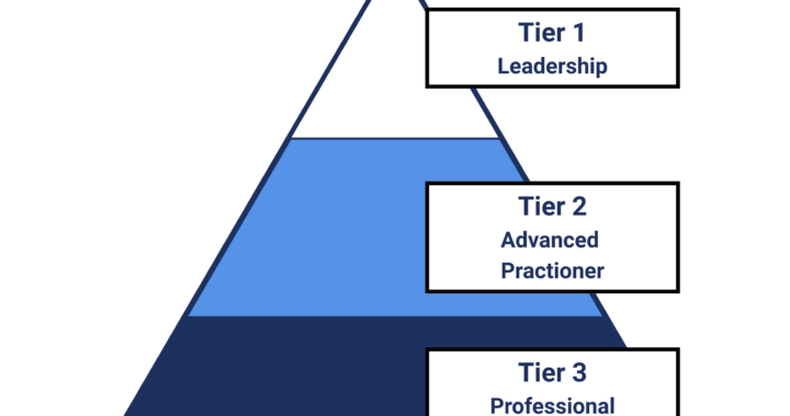 Our Professional Development Framework